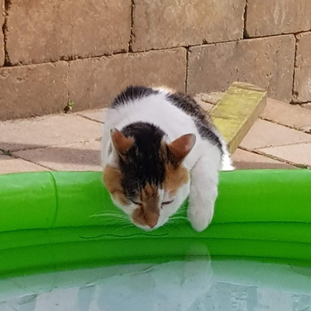 Featured image (legacy)