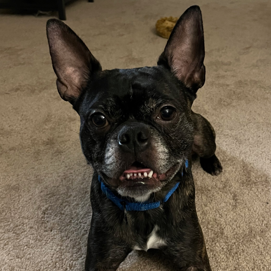 Featured image (legacy)