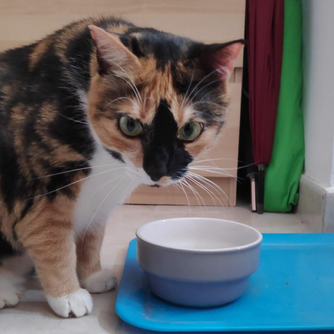 Featured image (legacy)