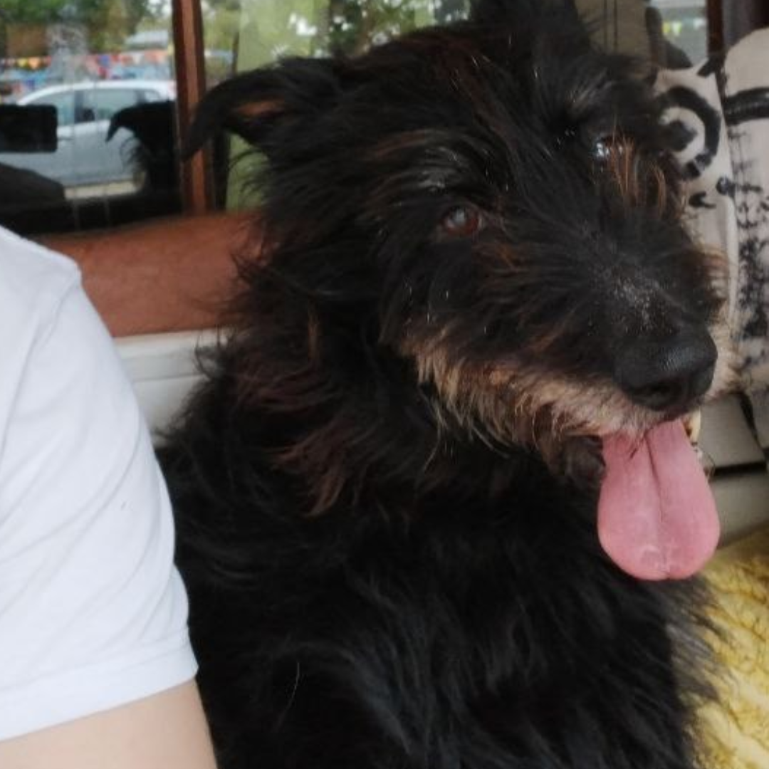 Featured image (legacy)