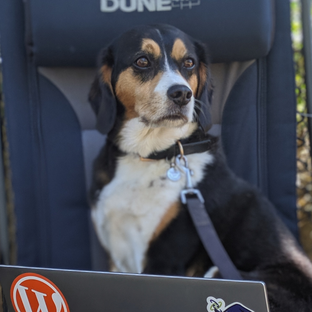 Featured image (legacy)